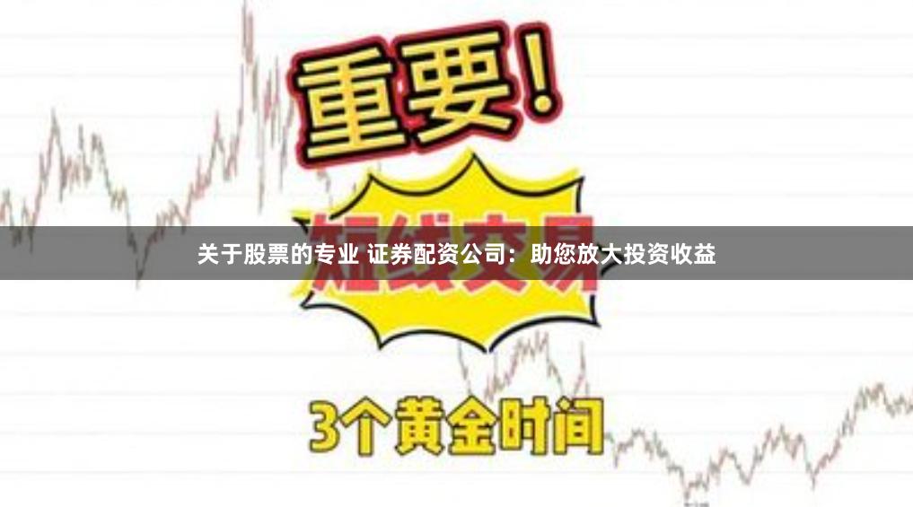 关于股票的专业 证券配资公司：助您放大投资收益